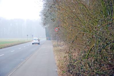 Das Geh&ouml;lz sollte zur&uuml;ck geschnitten werden.